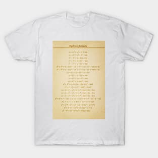 Algebraic Formulas T-Shirt